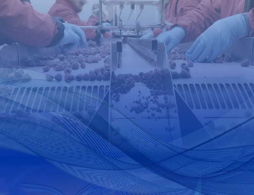 detectable materials safety applications