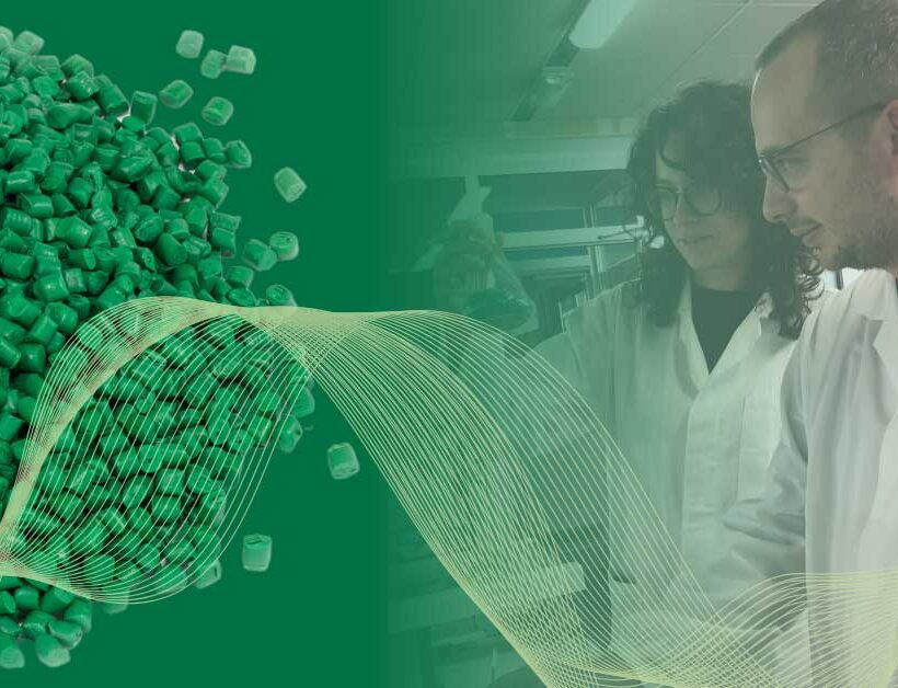 Evocative Image Sustainability and Circular Economy