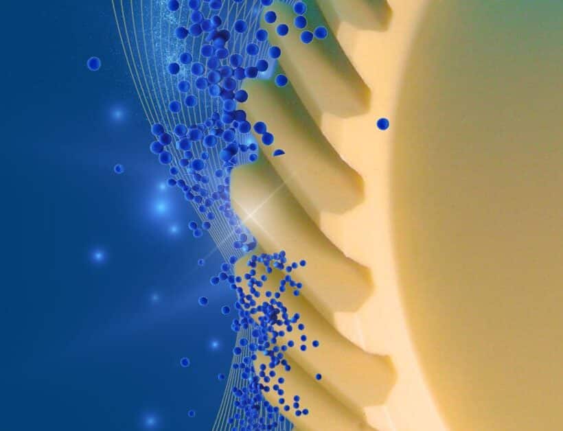 LATI webinar dedicated to self-lubricating compounds and the elimination of PFAS, with insights on sustainable alternatives and tribological performance