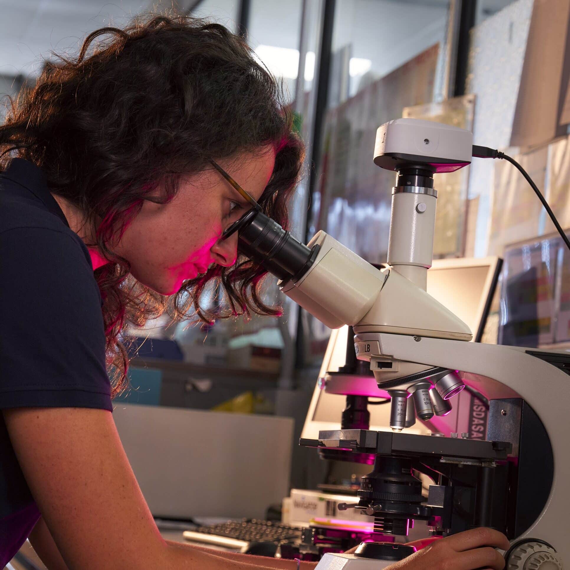 Compound Characterization