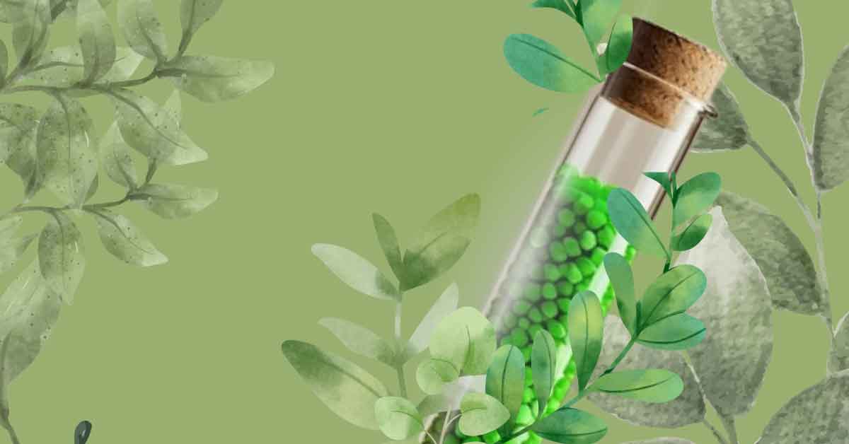 Report di Sostenibilità 2024: risultati concreti per un futuro responsabile